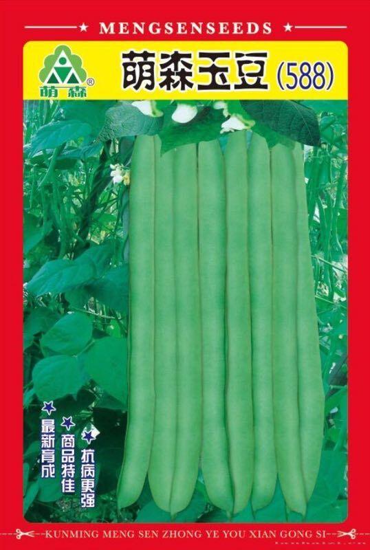 萌森玉豆
