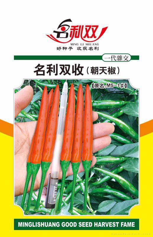 朝天椒