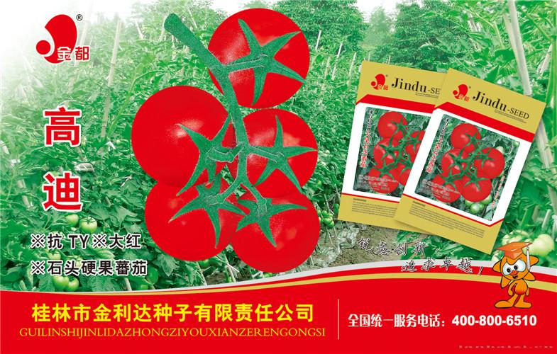 高迪