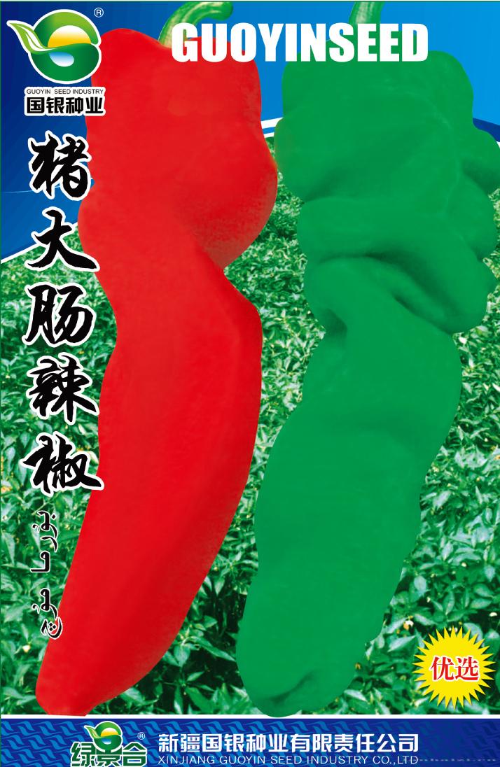 猪大肠辣椒