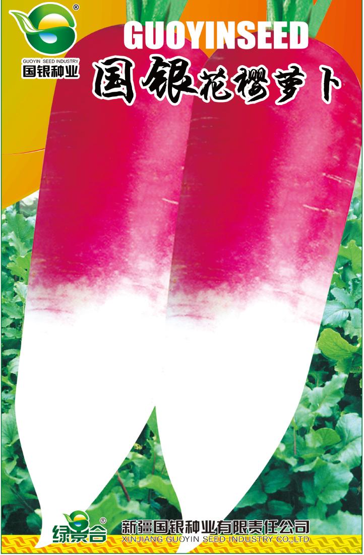 国银花樱萝卜