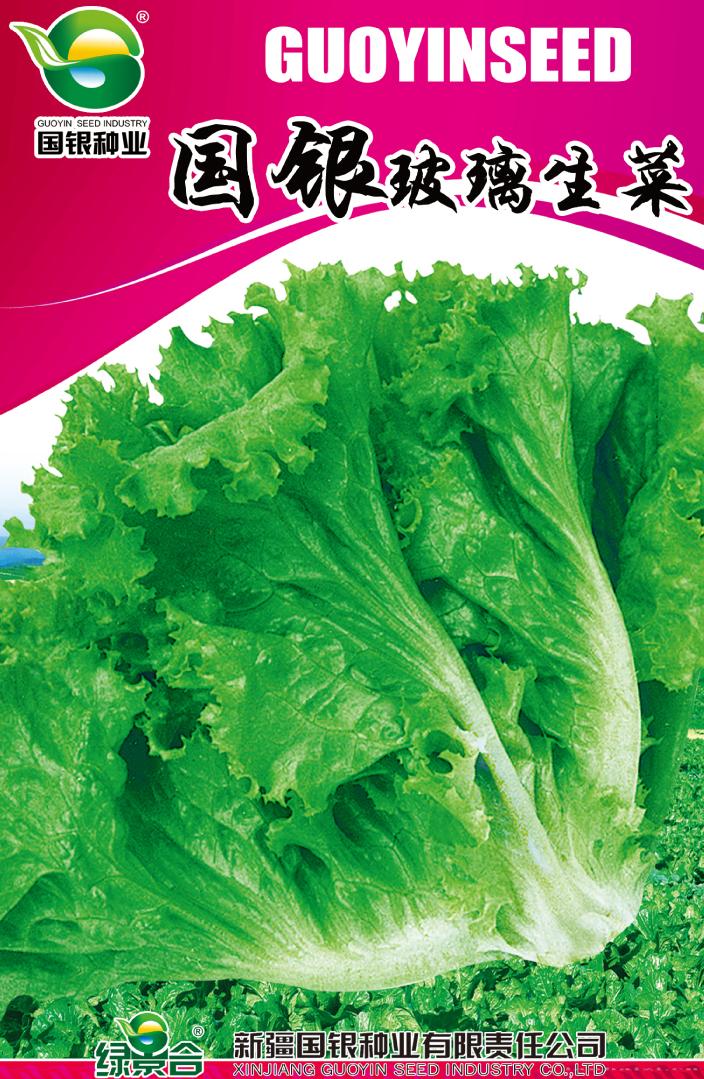 国银玻璃生菜