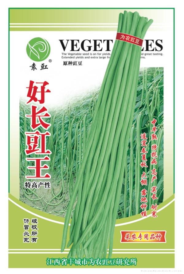 好长豇王——豇豆种子 