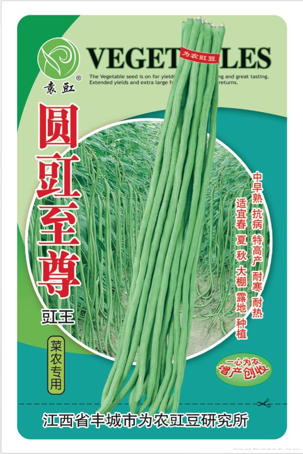 圆豇至尊——豇豆种子 
