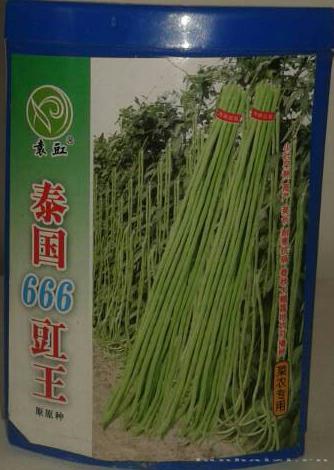 泰国666豇王——豇豆种子 