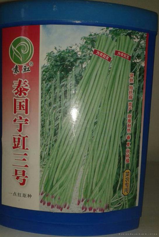 豇豆种子 