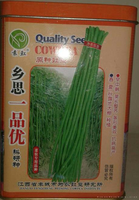 豇豆种子 