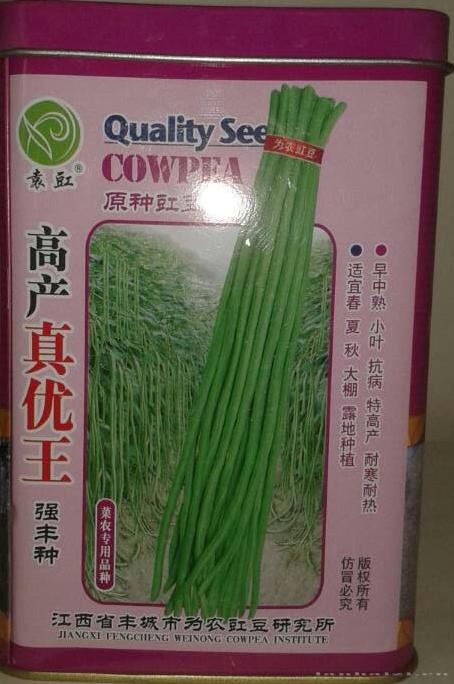 豇豆种子 