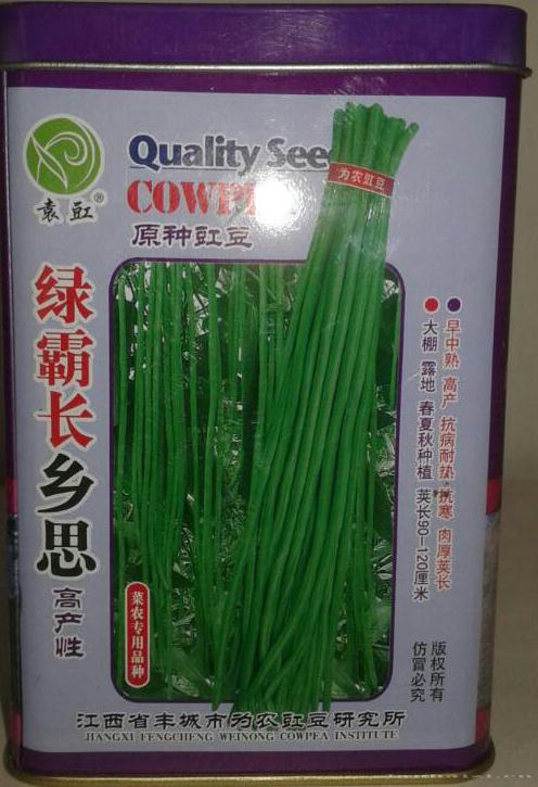 豇豆种子 