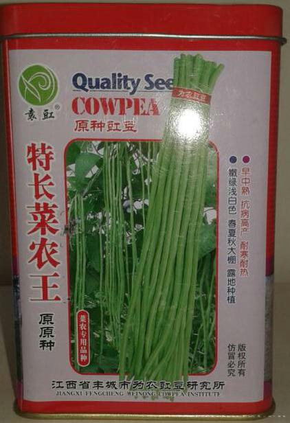 豇豆种子 