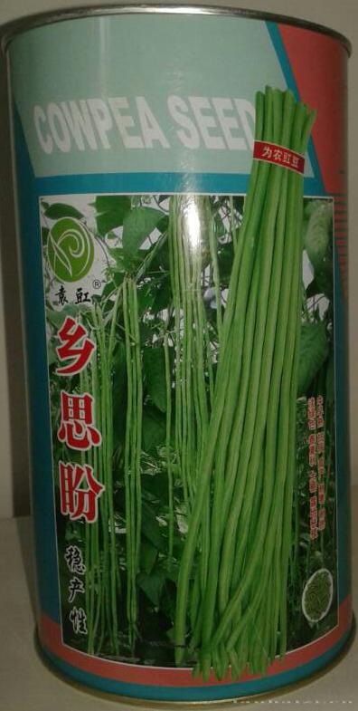 乡思盼——豇豆种子 