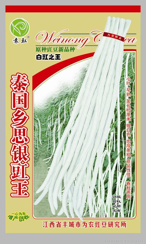 泰国乡思银豇王—豇豆种子