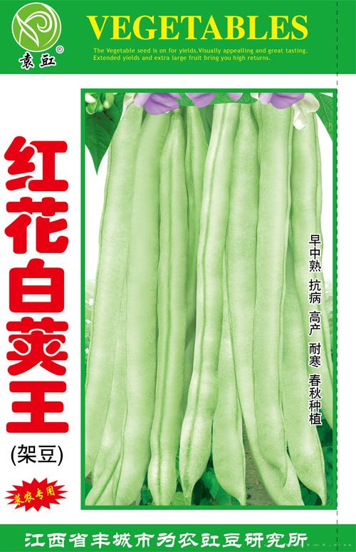 红白荚王——豇豆种子 