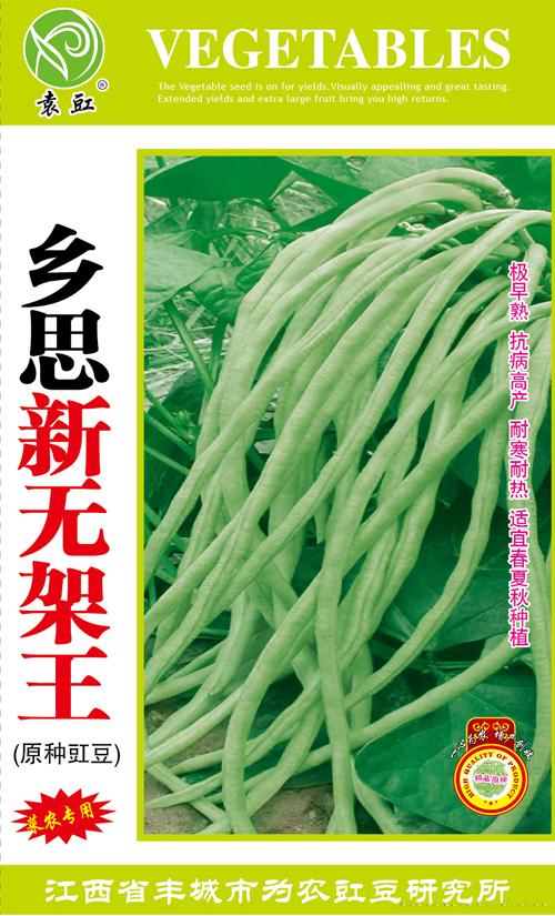 思乡新无架王——豇豆种子