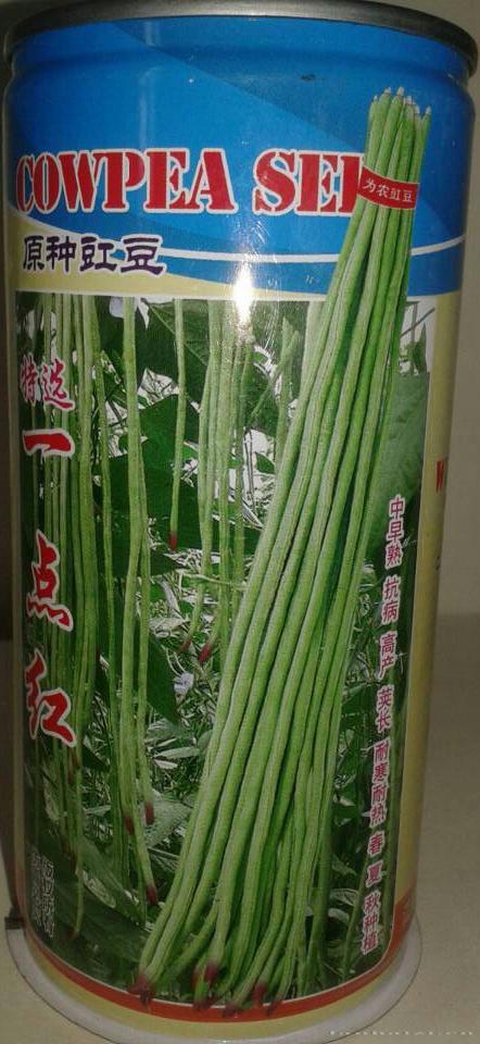 特选一点红——豇豆种子 