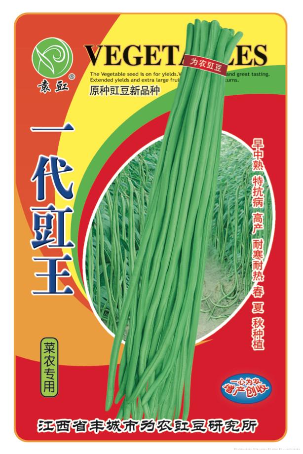 一代豇王——豇豆种子 