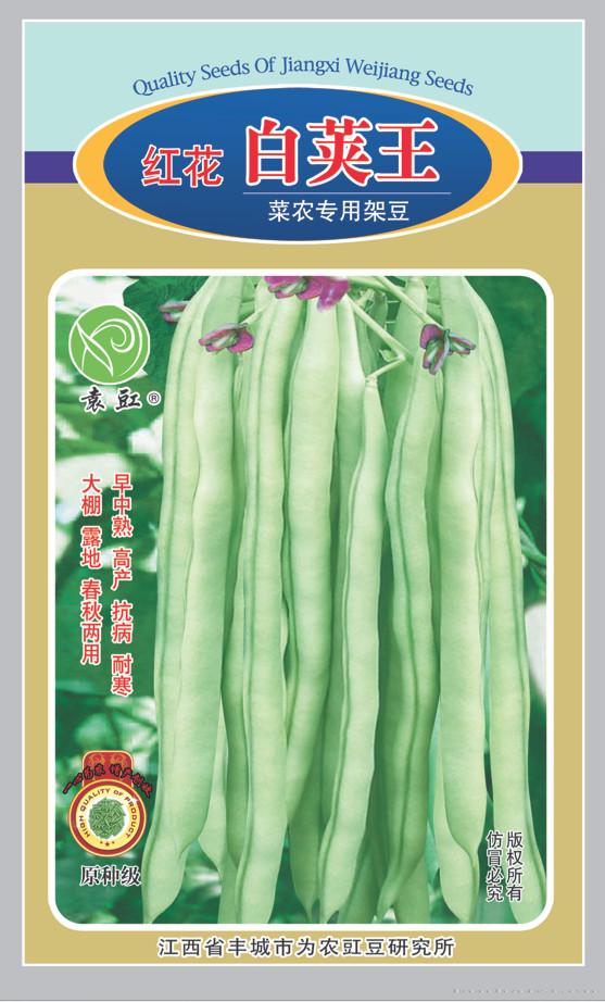 红花白荚王——豇豆种子 