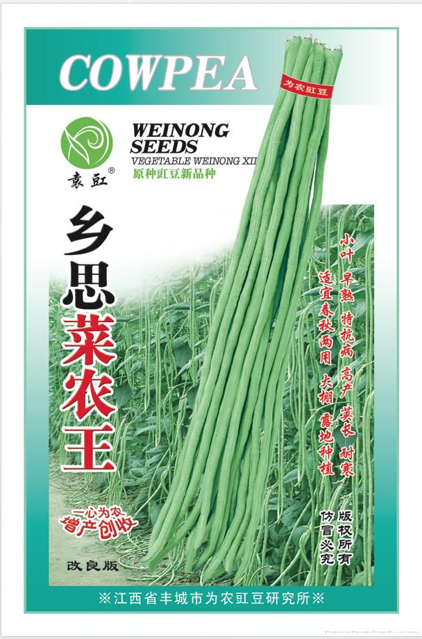 豇豆种子 
