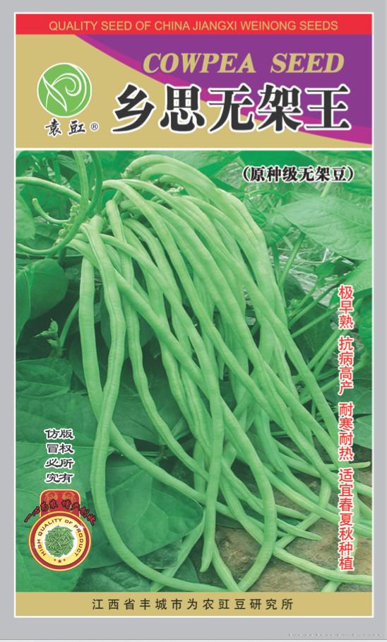 豇豆种子 
