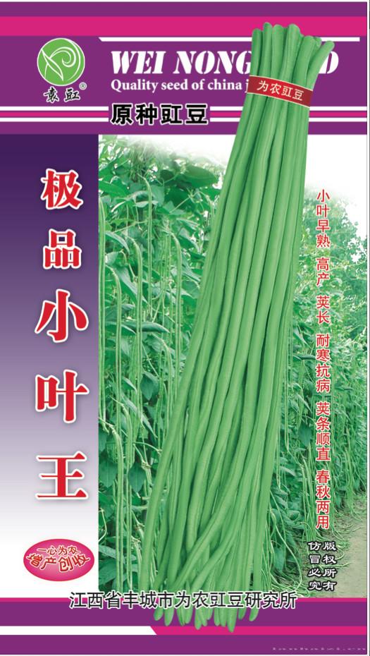 极品小叶王——豇豆种子