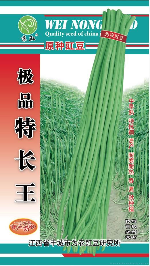 极品特长王——豇豆种子