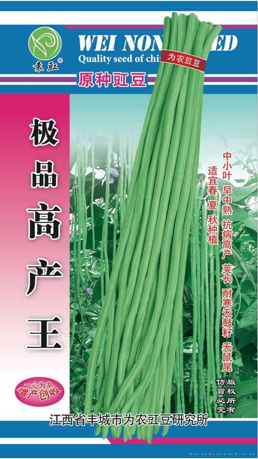 极品高产王——豇豆种子 