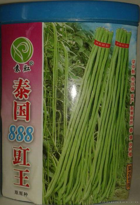 泰国888豇王——豇豆种子 