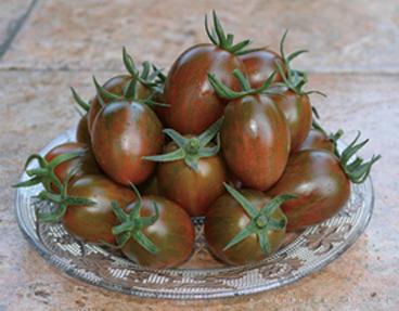 供应迷彩Meely—樱桃番茄种子 