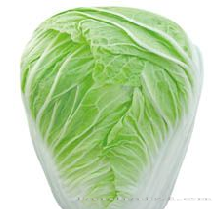 供应秋香58—白菜种子 