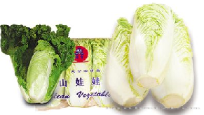 供应娃娃白—白菜种子 