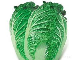 供应春夏帝王—白菜种子 