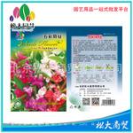 松大花种子 蔬菜种子 五彩凤仙种子