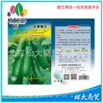 松大花种子 蔬菜种子 水果黄瓜种子