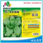 园艺种子 松大花种子 蔬菜种子大叶茼蒿种子