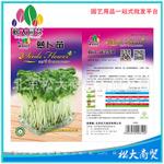 园艺种子 松大花种子 蔬菜种子 萝卜苗种子
