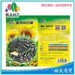  松大花种子 蔬菜种子 食用向日葵种子