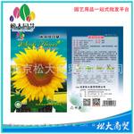 松大花种子 蔬菜种子 迷你向日葵种子