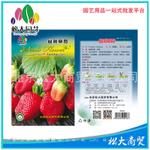 松大花种子 蔬菜种子 盆栽草莓种子