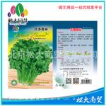 松大花种子 蔬菜种子 四季香菜种子