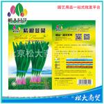  松大花种子 蔬菜种子 紫根韭菜种子