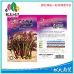 松大花种子 蔬菜种子 红油香椿种子