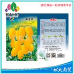 松大花种子 蔬菜种子 黄圣女种子