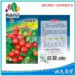 松大花种子 蔬菜种子 盆栽番茄种子