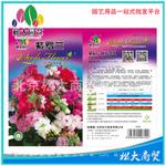 松大花种子 蔬菜种子 空心菜种子