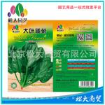 松大花种子 蔬菜种子 大叶菠菜种子