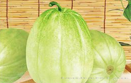 供应珍青—甜瓜种子 