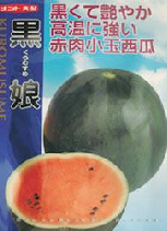 供应黑娘—西瓜种子 