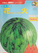 供应火花—西瓜种子 