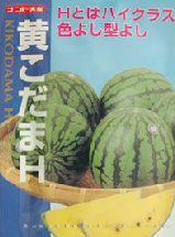 供应KIKODAMAH—西瓜种子 