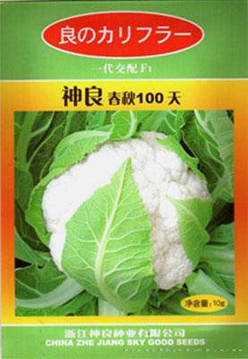 神良春秋100天